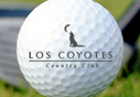 8th Annual Golf Tournament
